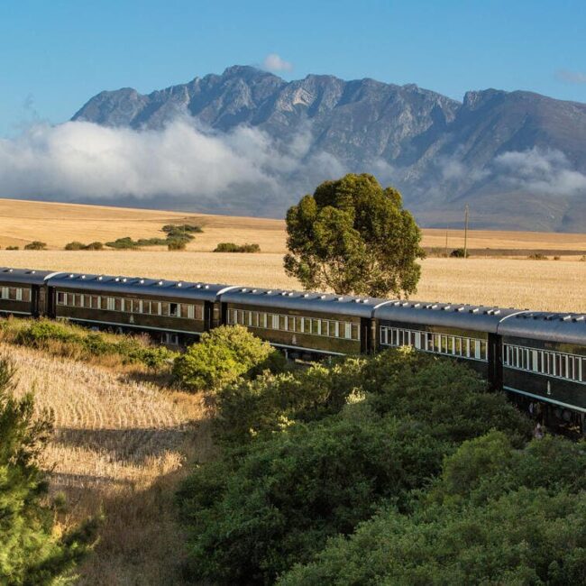 Afrique du Sud,Le Cap,Johannesburg,Parc Kruger,Blyde River Canyon,singita,lebombo lodge,boulders lodge,sweni lodge,ivory lodge,tswalu,ellerman house,one and only cape town,londolozi,ulusaba,molori,lion sands,phinda,grootbos,Morukuru,bushmans kloof