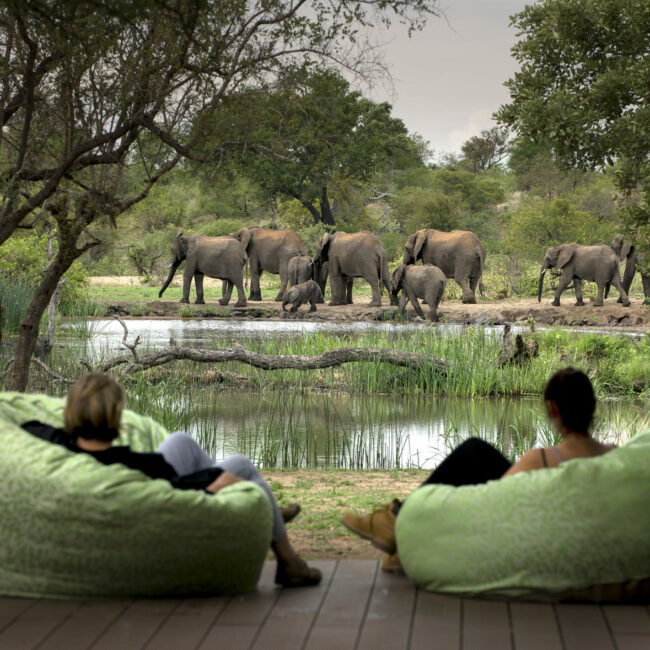 Afrique du Sud,Le Cap,Johannesburg,Parc Kruger,Blyde River Canyon,singita,lebombo lodge,boulders lodge,sweni lodge,ivory lodge,tswalu,ellerman house,one and only cape town,londolozi,ulusaba,molori,lion sands,phinda,grootbos,Morukuru,bushmans kloof