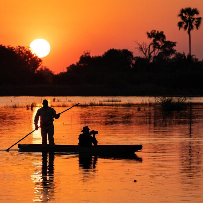 delta de l'okavango,réserve de moremi,réserve de savute,linyanti,chobe,safaris,jaocamp,wilderness safaris,safari au botswana,parc national de chobe,voyage de luxe au botswana,circuit botswana,botswana