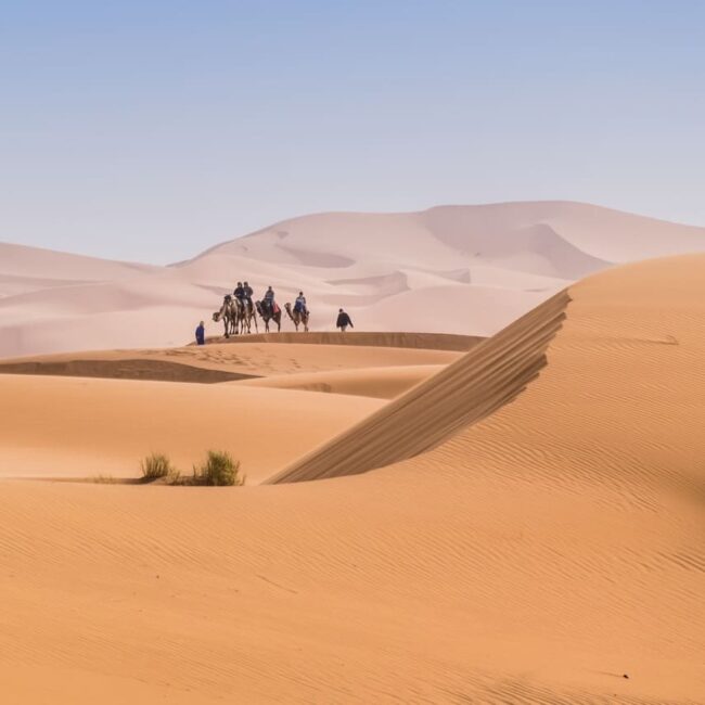 marrakech,casablanca,maroc,fes,essaoura,voyage au maroc tout inclus,desert du sahara maroc,fès et sa medina,riads au maroc,plage d'essaouira,excursion dans le désert marocain
