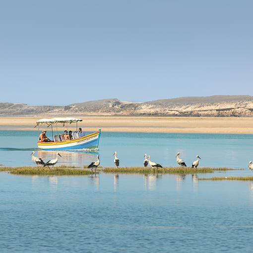 marrakech,casablanca,maroc,fes,essaoura,voyage au maroc tout inclus,desert du sahara maroc,fès et sa medina,riads au maroc,plage d'essaouira,excursion dans le désert marocain
