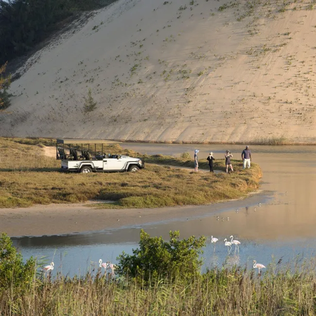 punta mamoli,maputo,quirimbas,plages du mozambique,archipel de bazaruto,safari au mozambique,plongée sous marine au mozambique