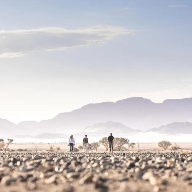 namibie,desert du namib,swakopmund,windhoek,walvis bay,sandwich harbour,twyfelfontein,damaraland,safari en namibie,parc national d'etosha,sossusvlei,circuit namibie,hotels de luxe en namibie,dunes de namibie,voyage aventure en namibie,faune de namibie