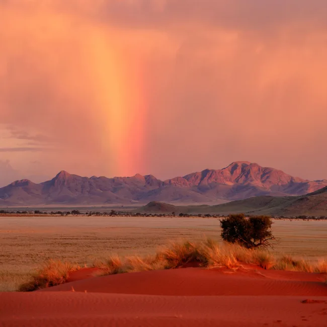 namibie,desert du namib,swakopmund,windhoek,walvis bay,sandwich harbour,twyfelfontein,damaraland,safari en namibie,parc national d'etosha,sossusvlei,circuit namibie,hotels de luxe en namibie,dunes de namibie,voyage aventure en namibie,faune de namibie