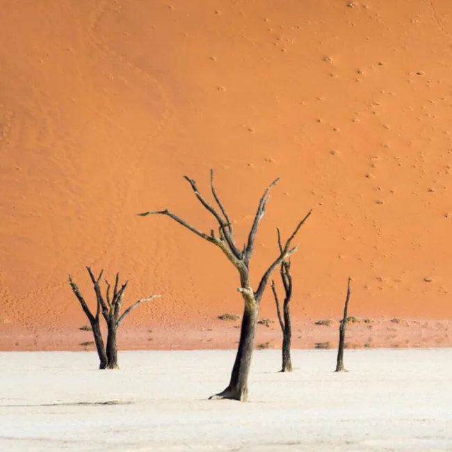 namibie,desert du namib,swakopmund,windhoek,walvis bay,sandwich harbour,twyfelfontein,damaraland,safari en namibie,parc national d'etosha,sossusvlei,circuit namibie,hotels de luxe en namibie,dunes de namibie,voyage aventure en namibie,faune de namibie