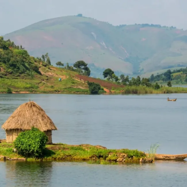 Chimpanzés au Rwanda,Lac Kivu,Parc national des volcans,Trekking gorilles au Rwanda