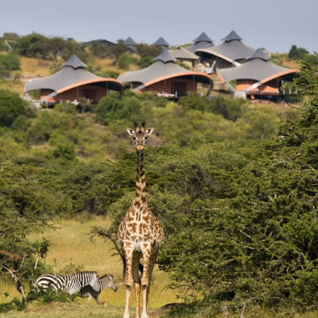 Nairobi,diani beach,mombassa,samburu,safari au kenya,plage de mombasa,voyage sur-mesure au kenya,parc national d'amboseli,hotels de luxe au kenya,faune et animaux au kenya,reserve national du masai mara,parc national de tsavo,kenya,safari